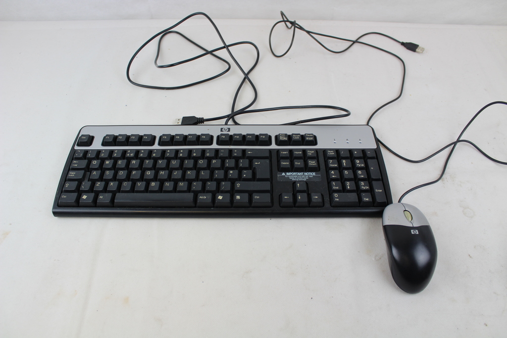 Image of HP Keyboard KU-0316 and HP Mouse