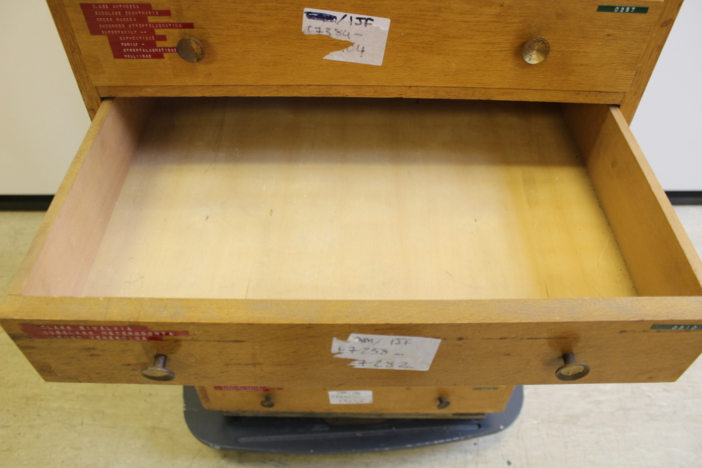 Image of  Realwood Chest of Drawer with 12 Shelves