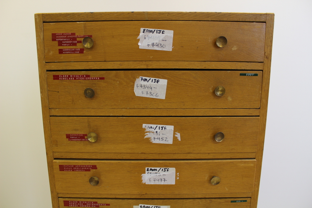 Image of  Realwood Chest of Drawer with 12 Shelves