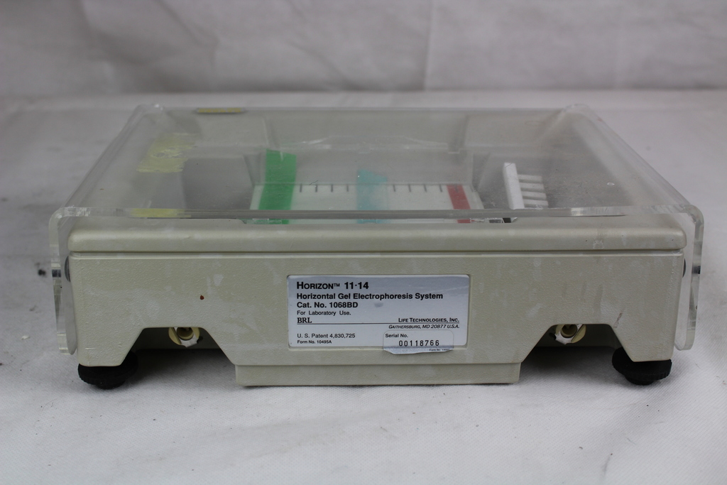 Image of Horizontal Gel Electrophoresis System