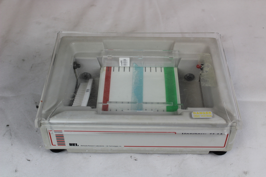 Image of Horizontal Gel Electrophoresis System
