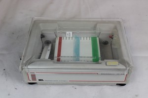 Thumbnail image of Horizontal Gel Electrophoresis System