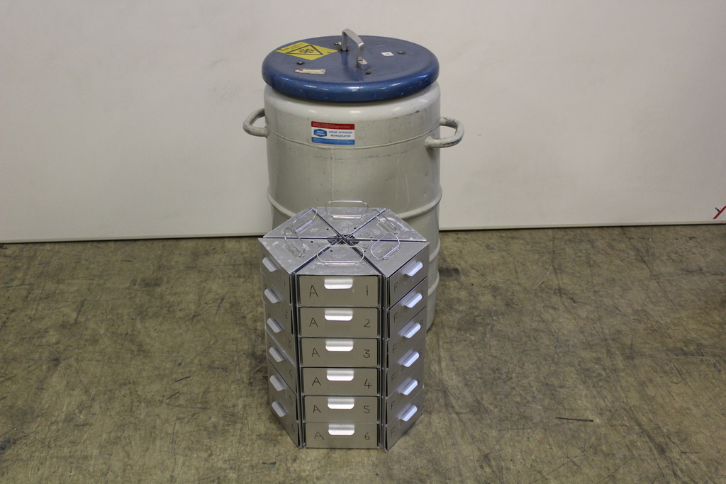 Image of Liquid Nitrogen Refrigerator