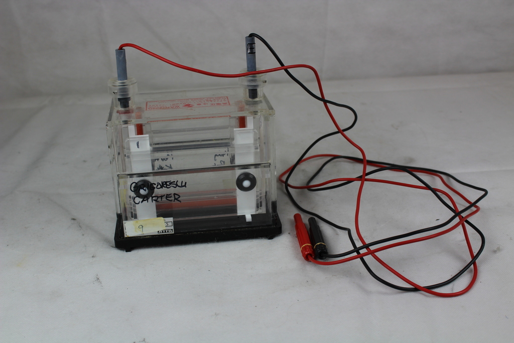 Image of Electrophoresis Vertical Tank