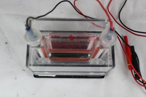 Thumbnail image of Electrophoresis Vertical Tank