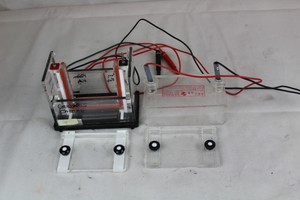 Thumbnail image of Electrophoresis Vertical Tank