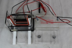 Thumbnail image of Electrophoresis Vertical Tank