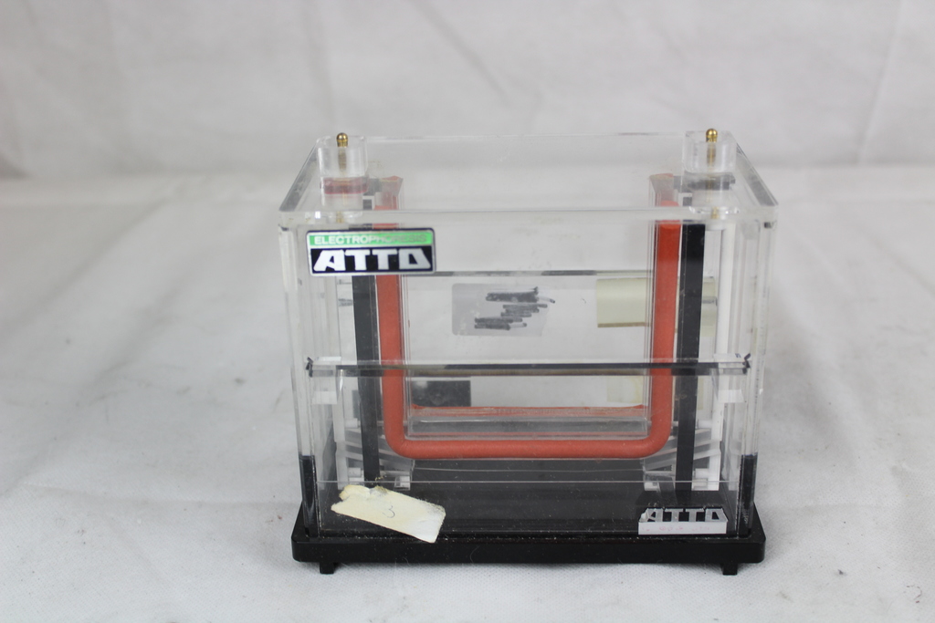 Image of Electrophoresis Vertical Tank