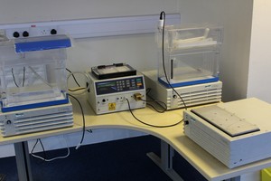 Thumbnail image of Investigator 5000 w/ 2 x Plate Cooler and 2 x Gel Tanks