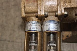 Thumbnail image of MPL Pump with Two Short Stroke Mechanisms