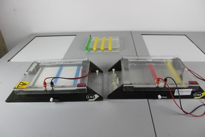 Thumbnail image of 2 x IBI 55000 Gel Electrophoresis Kits