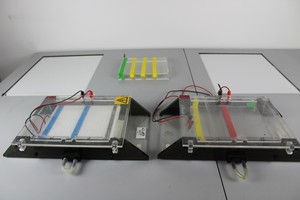 Thumbnail image of 2 x IBI 55000 Gel Electrophoresis Kits