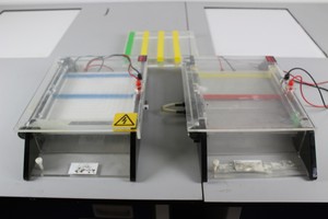 Thumbnail image of 2 x IBI 55000 Gel Electrophoresis Kits