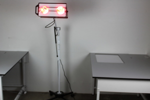 Image of item