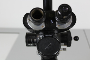 Thumbnail image of Compound Microscope