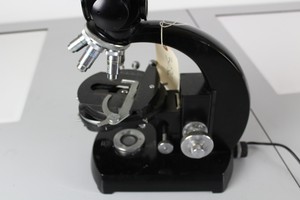 Thumbnail image of Compound Microscope