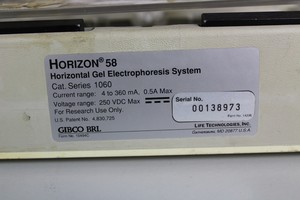 Thumbnail image of Electrophesis Kit