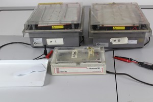 Thumbnail image of Electrophesis Kit