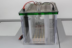 Thumbnail image of Protean Plus Dodeca
