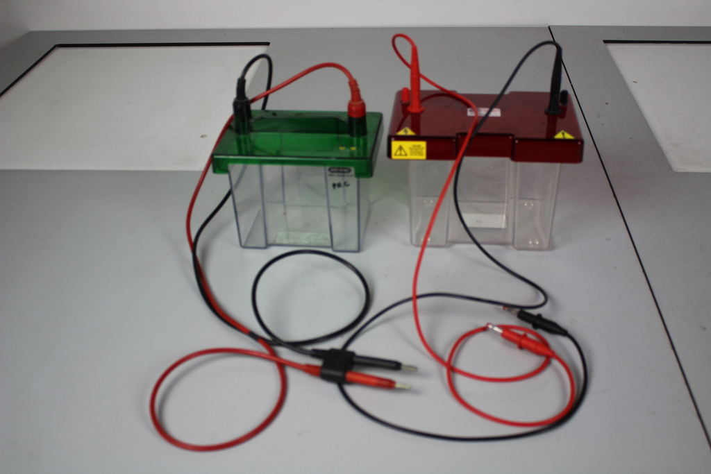Image of Mini Trans-Blot & Appleton Woods Electrophoresis Transfer Cells 