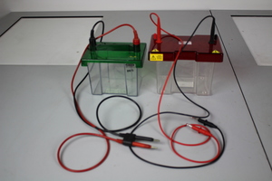Thumbnail image of Mini Trans-Blot & Appleton Woods Electrophoresis Transfer Cells 