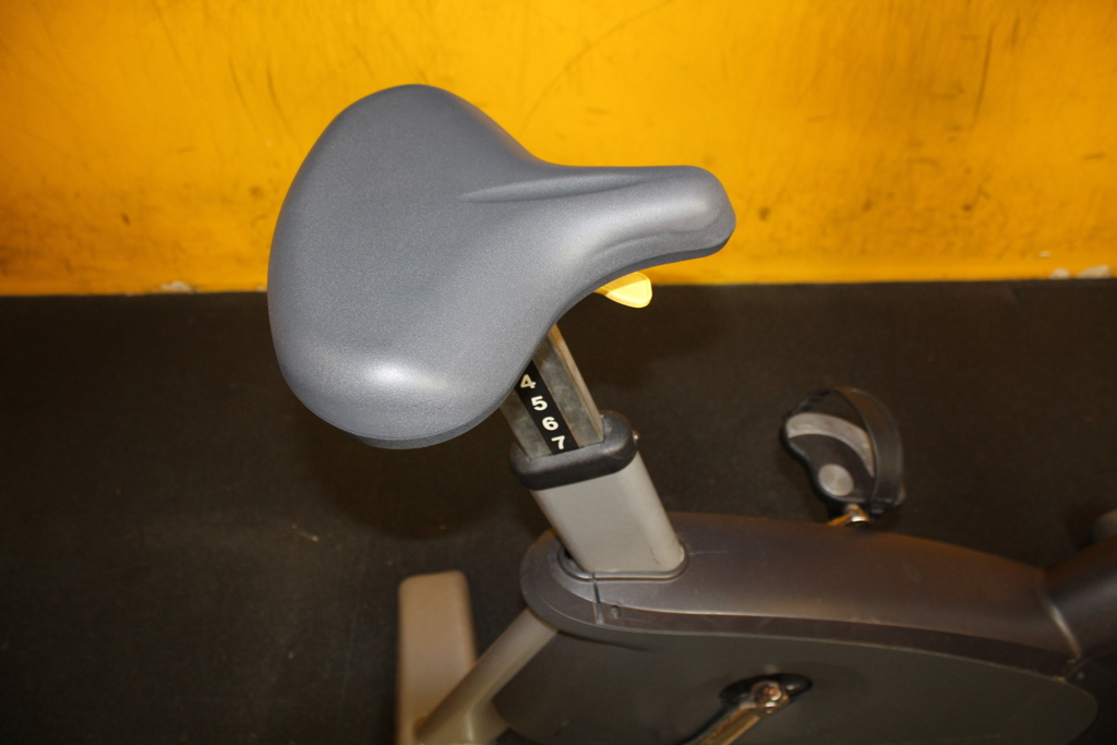 Image of Cybex 750C Upright Bike