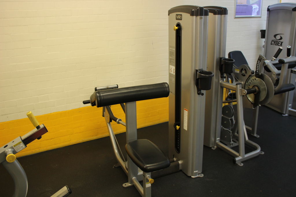 Image of Cybex Arm Curl Machine VR1