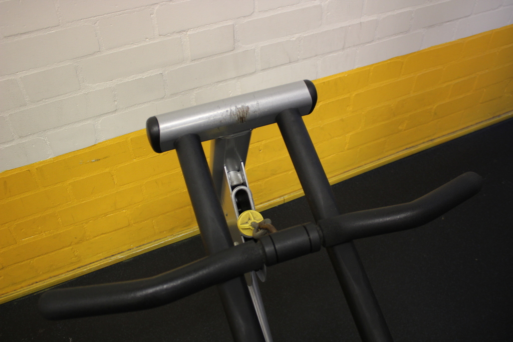 Image of Cybex Arm Curl Machine VR1