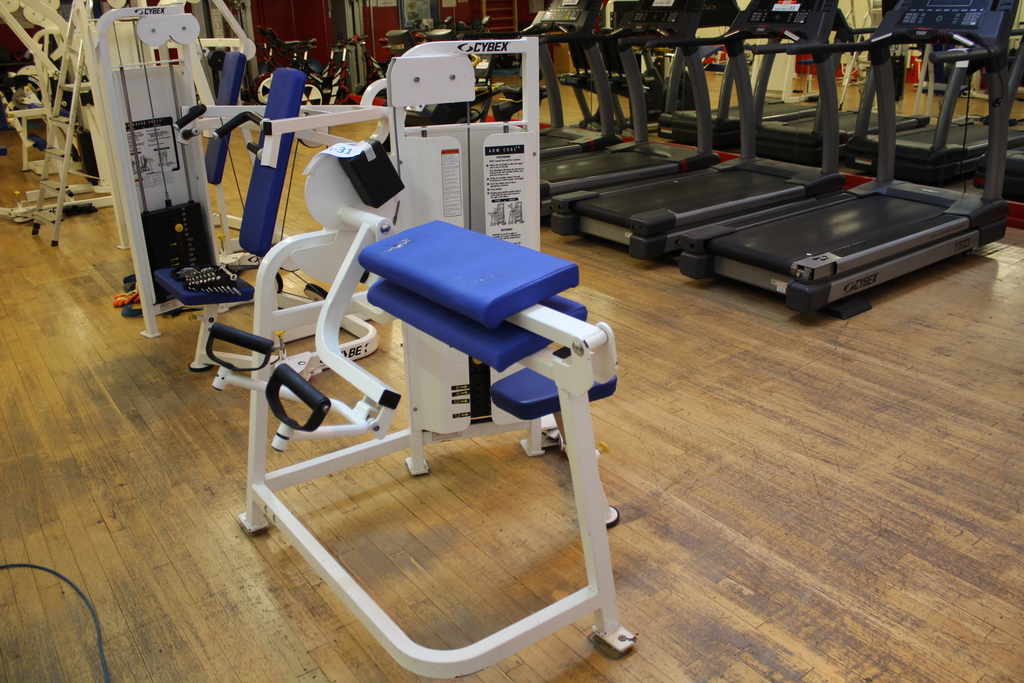Image of Cybex Arm Curl TA Machine Model-4821-598 A