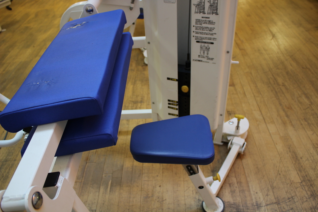 Image of Cybex Arm Curl TA Machine Model-4821-598 A