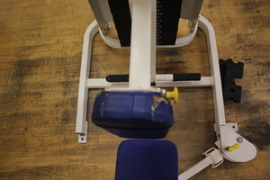Thumbnail image of Cybex Row TA Machine