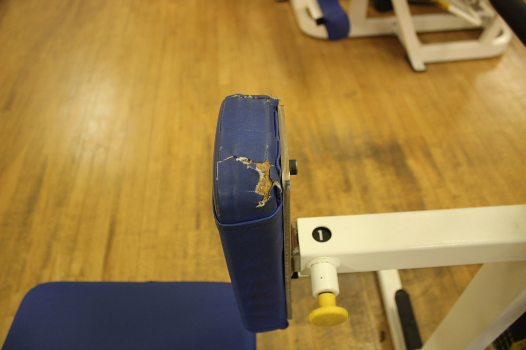 Image of Cybex Row TA Machine