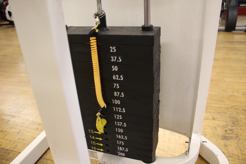 Image of Cybex Row TA Machine