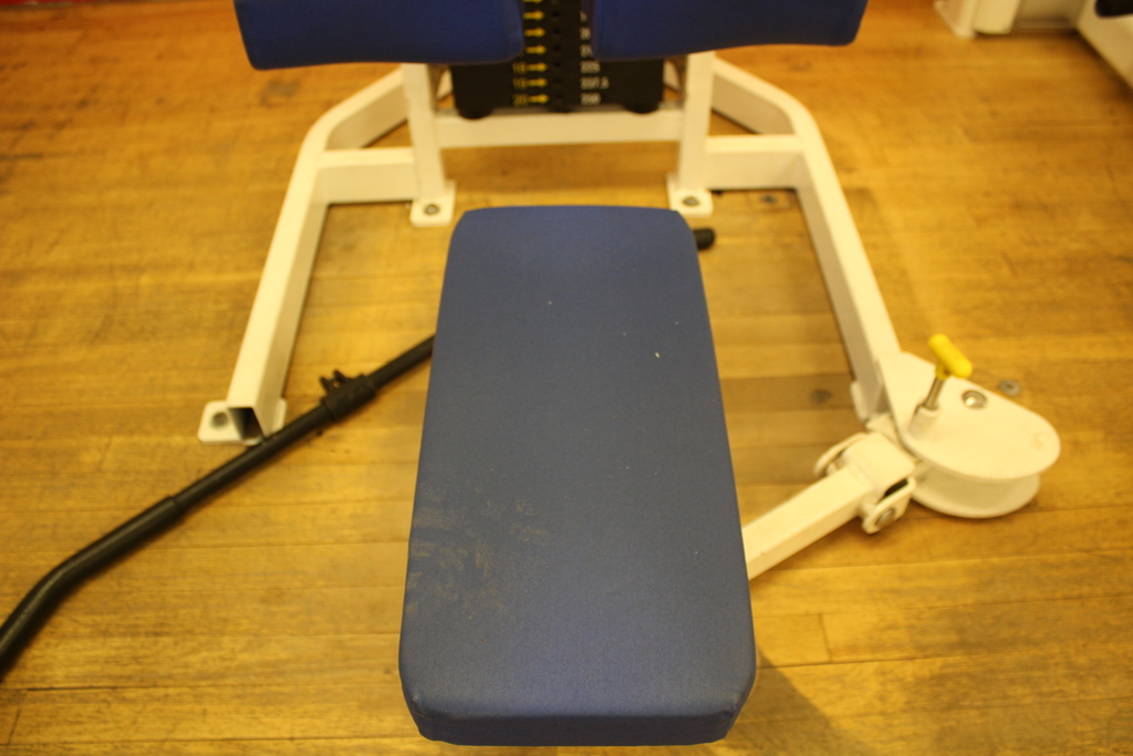 Image of Cybex Lat Pulldown TA Machine