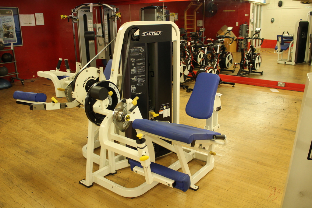 Image of Cybex Eagle Leg Extension Machine
