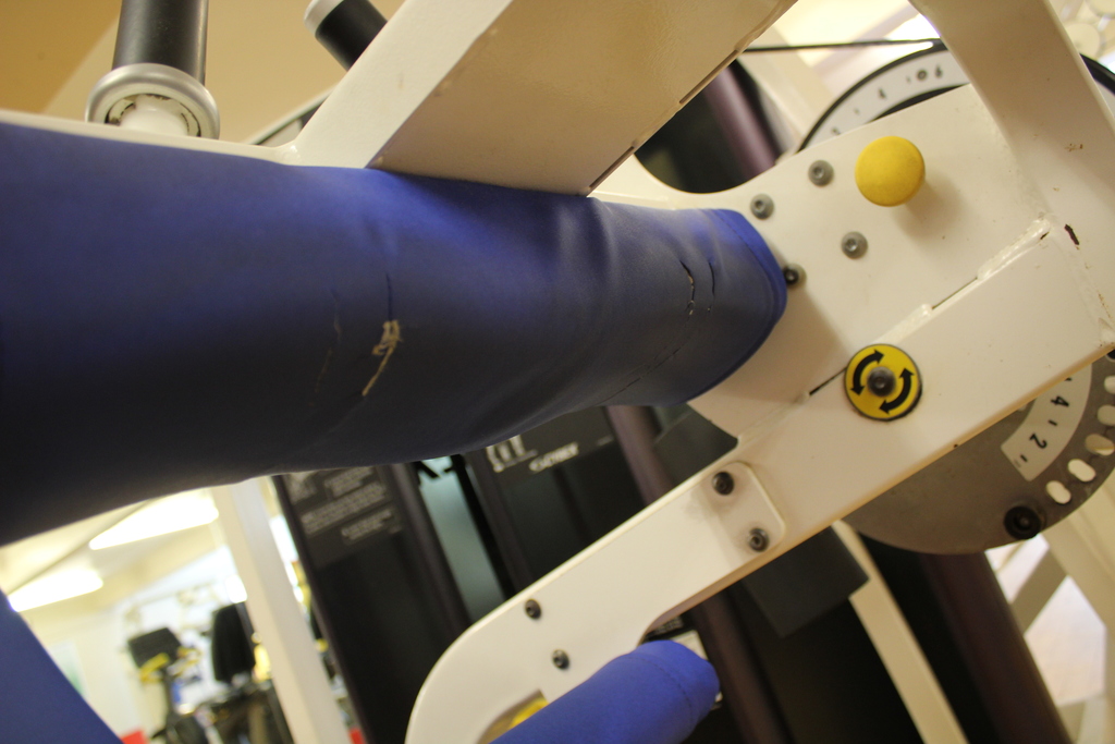 Image of Cybex Eagle Leg Curl Machine