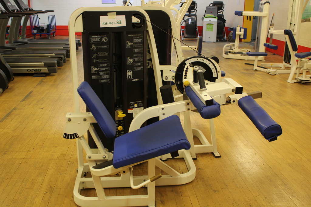 Image of Cybex Eagle Leg Curl Machine