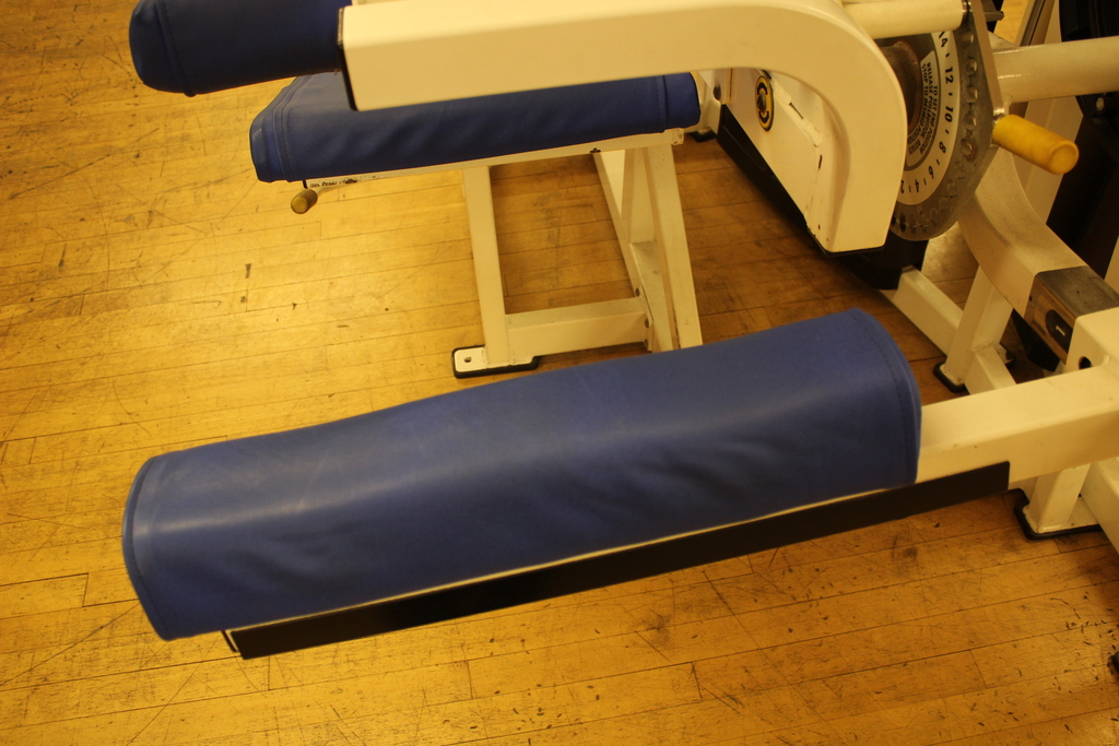 Image of Cybex Eagle Leg Curl Machine