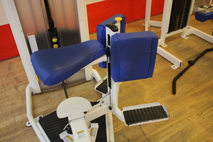 Thumbnail image of Cybex Torso Rotation Machine