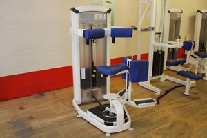 Thumbnail image of Cybex Torso Rotation Machine