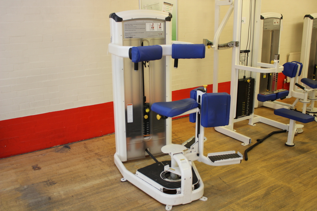 Image of Cybex Torso Rotation Machine