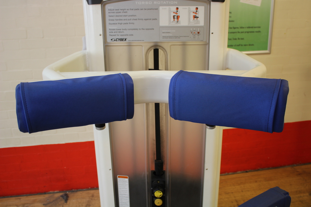 Image of Cybex Torso Rotation Machine