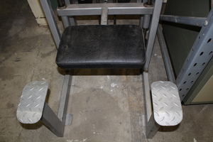 Thumbnail image of Pullum Assisted Chin Up and Dip Machine