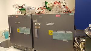 Thumbnail image of Gallenkamp Size Two Incubator Model I-150