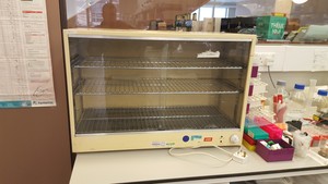 Thumbnail image of Heated Lab-Glassware Drying Cabinet Model 515