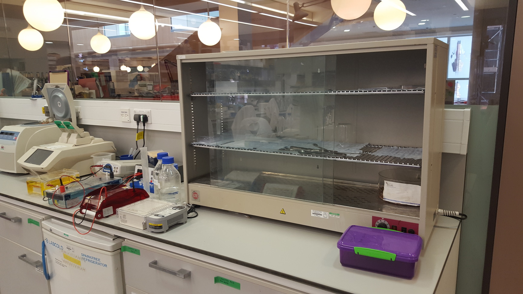 Image of Heated Lab-Glassware Drying Cabinet 