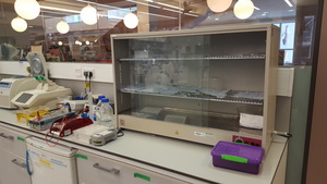 Thumbnail image of Heated Lab-Glassware Drying Cabinet 