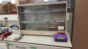 Thumbnail image of Heated Lab-Glassware Drying Cabinet 