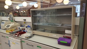 Thumbnail image of Heated Lab-Glassware Drying Cabinet 