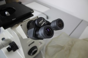 Thumbnail image of Nikon Diaphot Inverted Phase Contrast Microscope w/ Objectives and Eyepieces